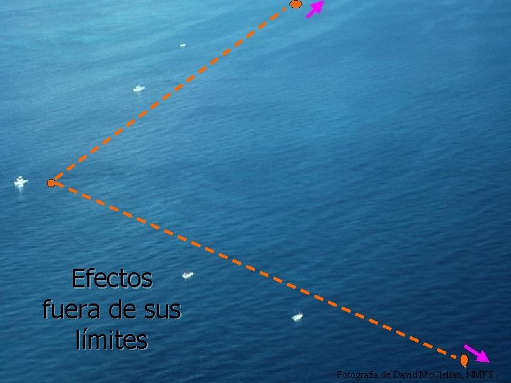 Efectos fuera de sus límites Fotografía de David Mc. Clellan, NMFS 