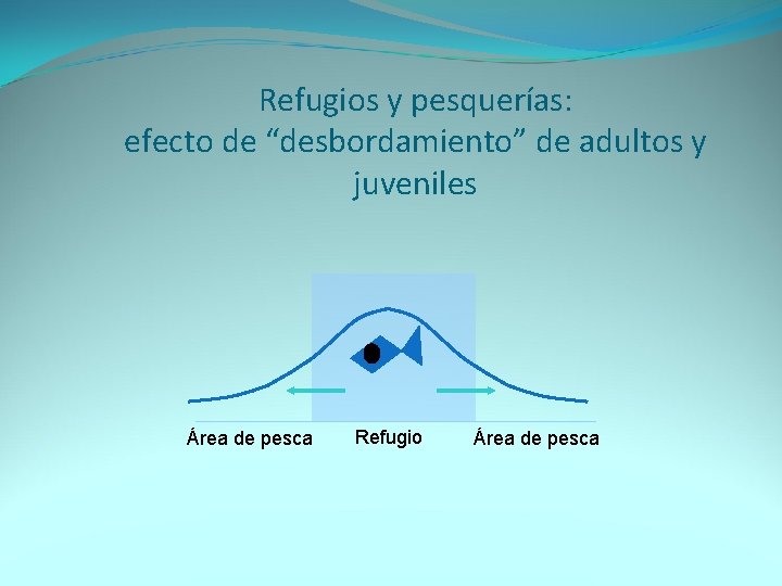 Refugios y pesquerías: efecto de “desbordamiento” de adultos y juveniles Área de pesca Refugio