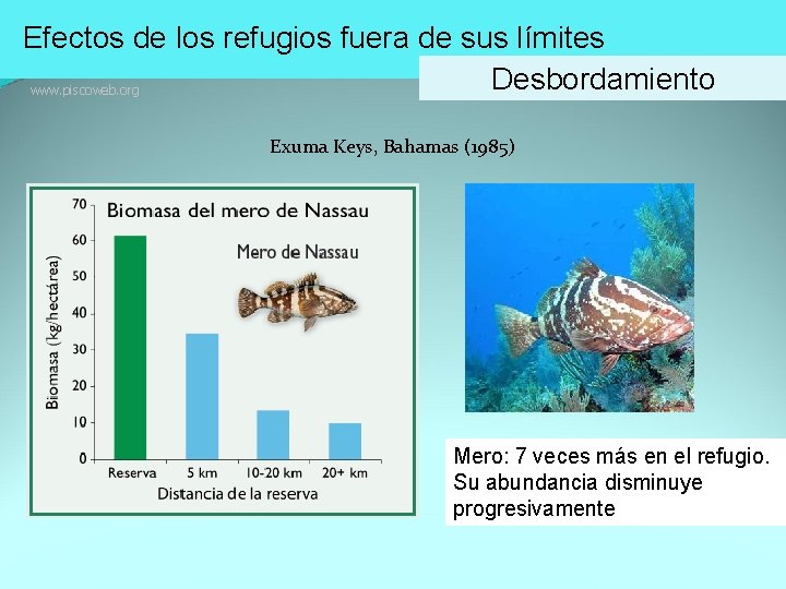 Efectos de los refugios fuera de sus límites Desbordamiento www. piscoweb. org Exuma Keys,