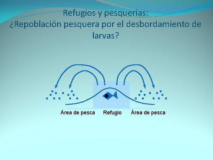 Refugios y pesquerías: ¿Repoblación pesquera por el desbordamiento de larvas? Área de pesca Refugio