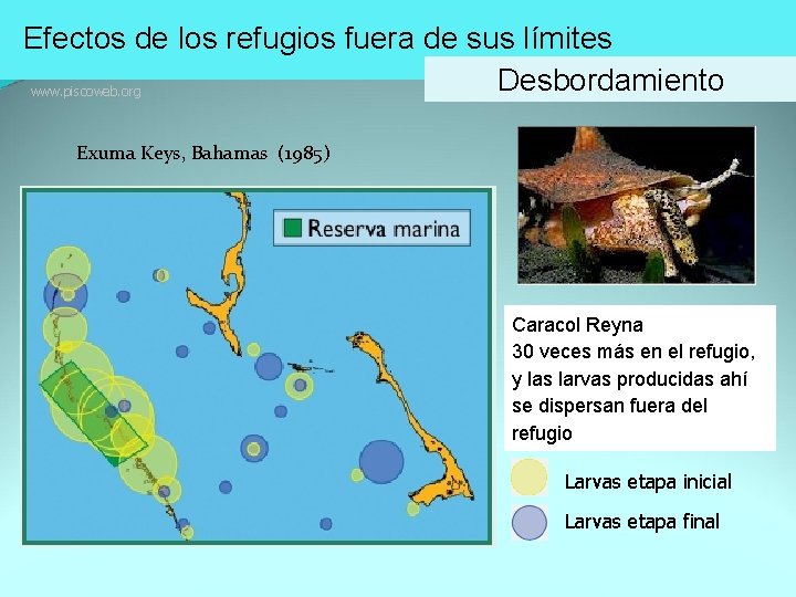 Efectos de los refugios fuera de sus límites Desbordamiento www. piscoweb. org Exuma Keys,