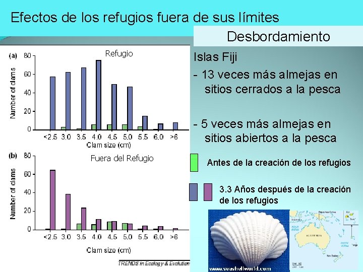 Efectos de los refugios fuera de sus límites Desbordamiento Refugio Islas Fiji - 13