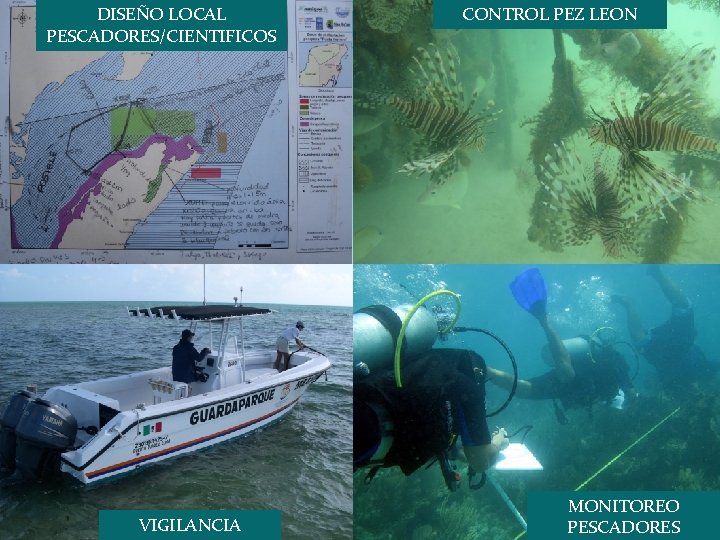 DISEÑO LOCAL PESCADORES/CIENTIFICOS VIGILANCIA CONTROL PEZ LEON MONITOREO PESCADORES 