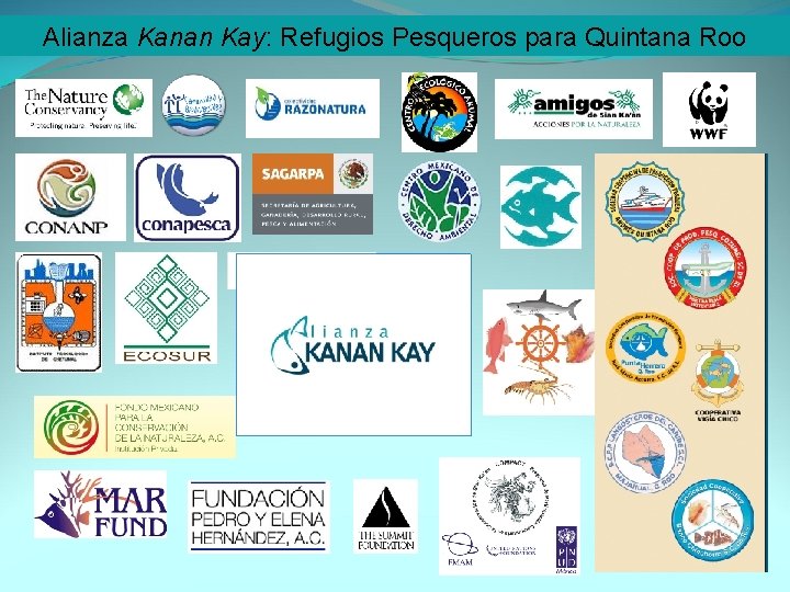 Alianza Kanan Kay: Refugios Pesqueros para Quintana Roo 