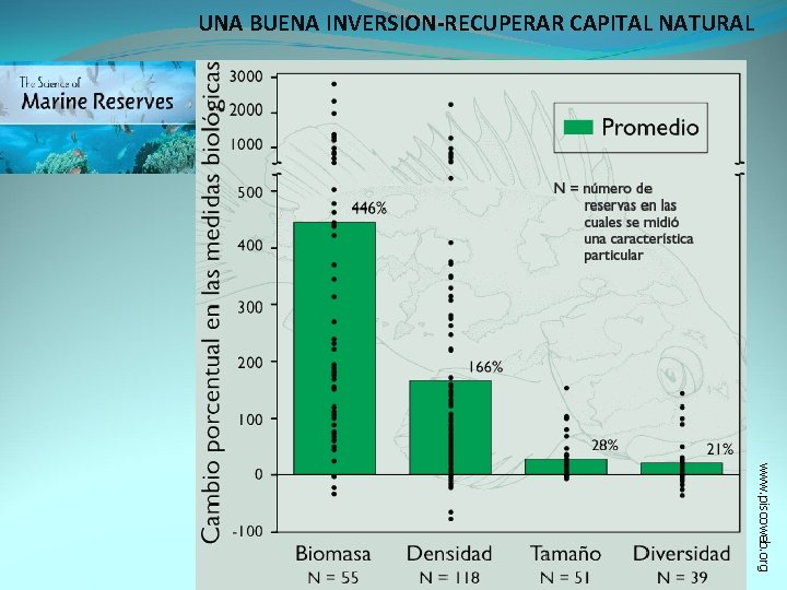 UNA BUENA INVERSION-RECUPERAR CAPITAL NATURAL www. piscoweb. org 