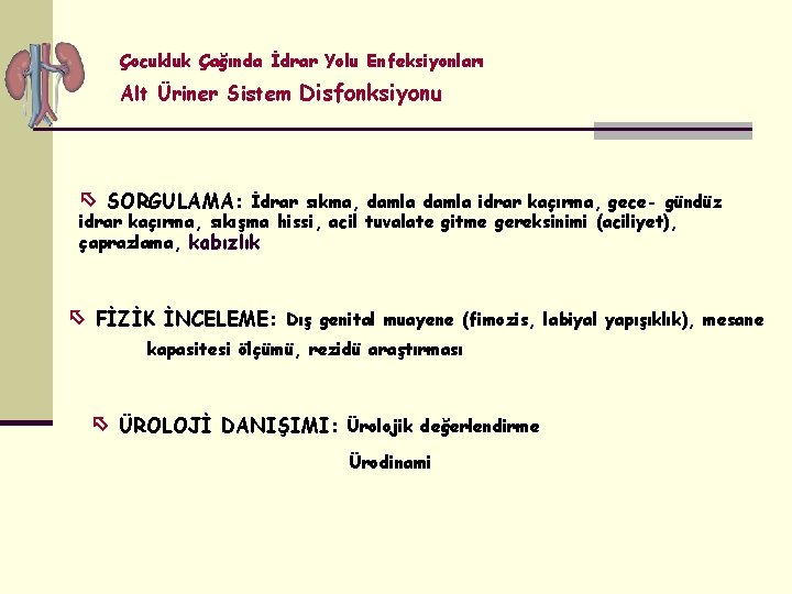 Çocukluk Çağında İdrar Yolu Enfeksiyonları Alt Üriner Sistem Disfonksiyonu SORGULAMA: İdrar sıkma, damla idrar