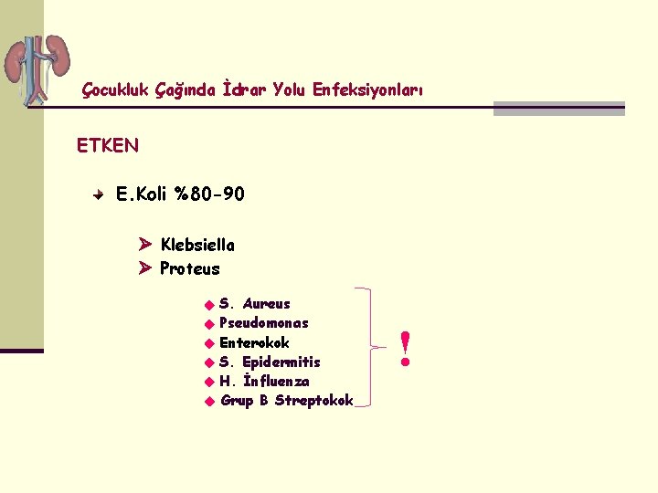 Çocukluk Çağında İdrar Yolu Enfeksiyonları ETKEN E. Koli %80 -90 Klebsiella Proteus S. Aureus