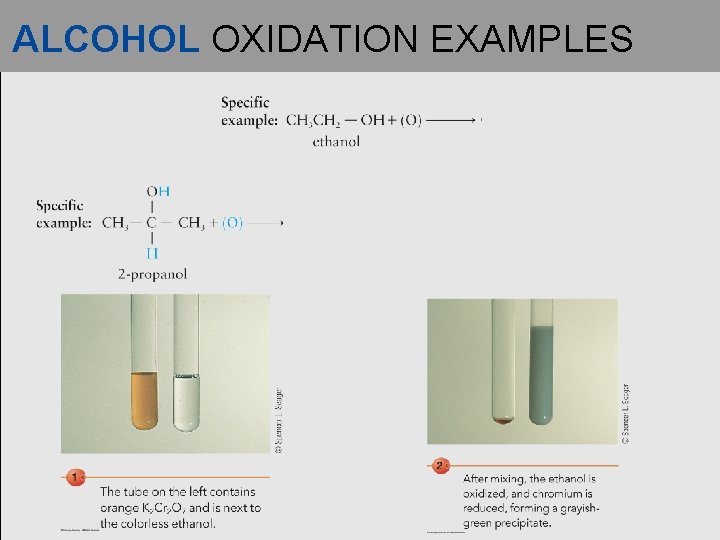 ALCOHOL OXIDATION EXAMPLES 