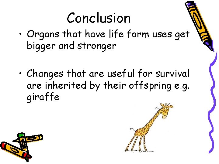 Conclusion • Organs that have life form uses get bigger and stronger • Changes Conclusion • Organs that have life form uses get bigger and stronger • Changes