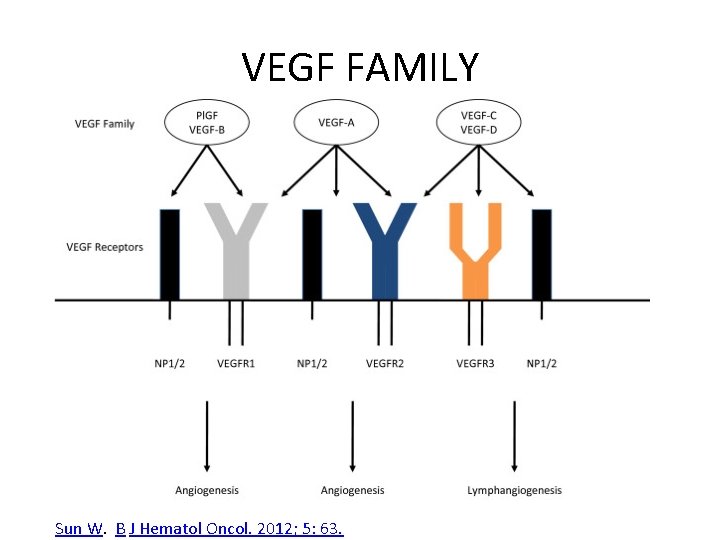 VEGF FAMILY Sun W. B J Hematol Oncol. 2012; 5: 63. 