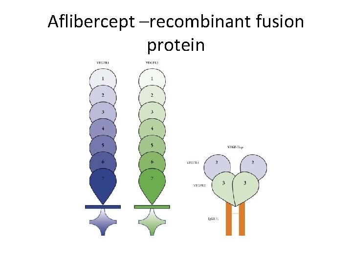 Aflibercept –recombinant fusion protein 