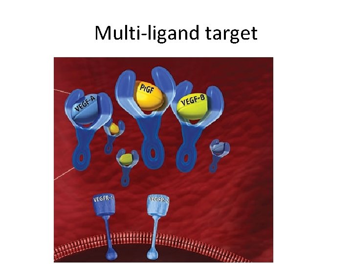 Multi-ligand target 