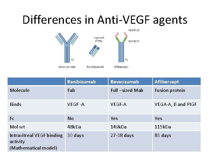 Differences in Anti-VEGF agents Ranibizumab Bevacizumab Aflibercept Molecule Fab Full –sized Mab Fusion protein