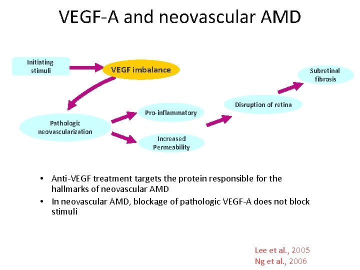 VEGF-A and neovascular AMD Initiating stimuli VEGF imbalance Pro-inflammatory Pathologic neovascularization Subretinal fibrosis Disruption