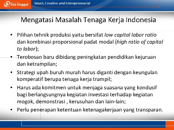 Mengatasi Masalah Tenaga Kerja Indonesia • Pilihan tehnik produksi yaitu bersifat low capital labor