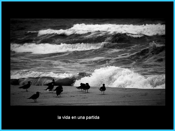 la vida en una partida 