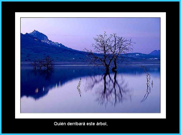 Quién derribará este árbol, 
