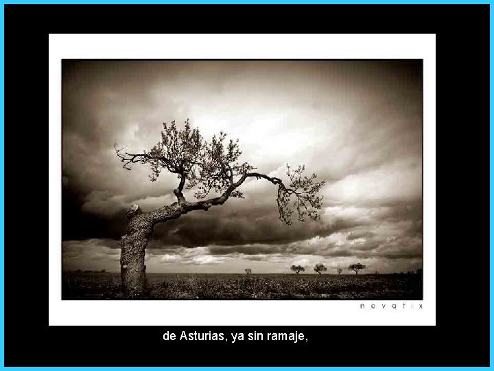 de Asturias, ya sin ramaje, 