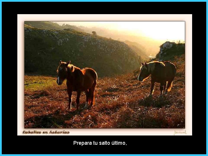 Prepara tu salto último, 