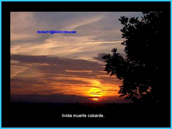 lívida muerte cobarde, 