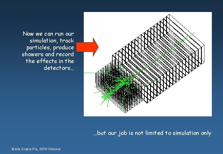 Now we can run our simulation, track particles, produce showers and record the effects