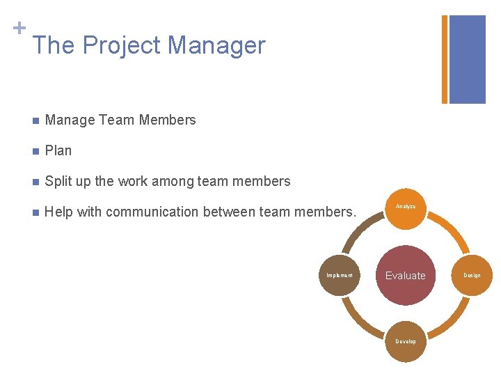 + The Project Manager n Manage Team Members n Plan n Split up the