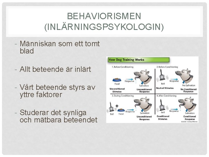BEHAVIORISMEN (INLÄRNINGSPSYKOLOGIN) - Människan som ett tomt blad - Allt beteende är inlärt -