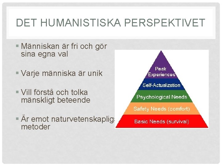 DET HUMANISTISKA PERSPEKTIVET § Människan är fri och gör sina egna val § Varje