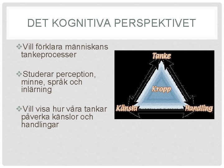 DET KOGNITIVA PERSPEKTIVET v. Vill förklara människans tankeprocesser v. Studerar perception, minne, språk och