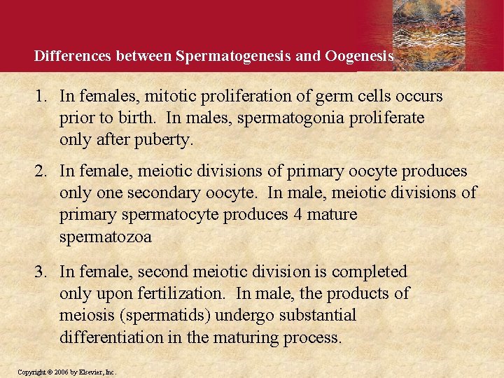 Differences between Spermatogenesis and Oogenesis 1. In females, mitotic proliferation of germ cells occurs Differences between Spermatogenesis and Oogenesis 1. In females, mitotic proliferation of germ cells occurs