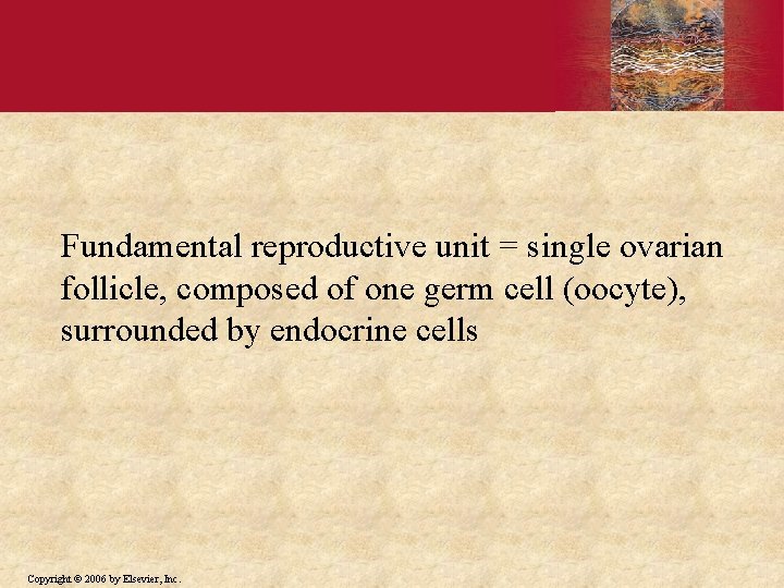 Fundamental reproductive unit = single ovarian follicle, composed of one germ cell (oocyte), surrounded