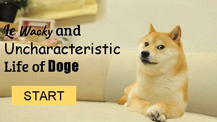 Le Wacky and Uncharacteristic Life of Doge START 