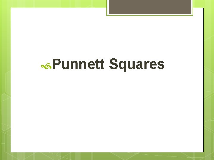  Punnett Squares 