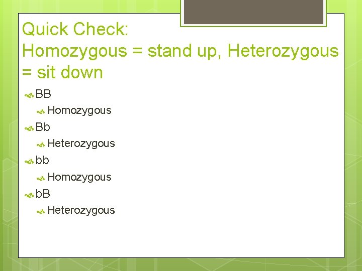 Quick Check: Homozygous = stand up, Heterozygous = sit down BB Homozygous Bb Heterozygous