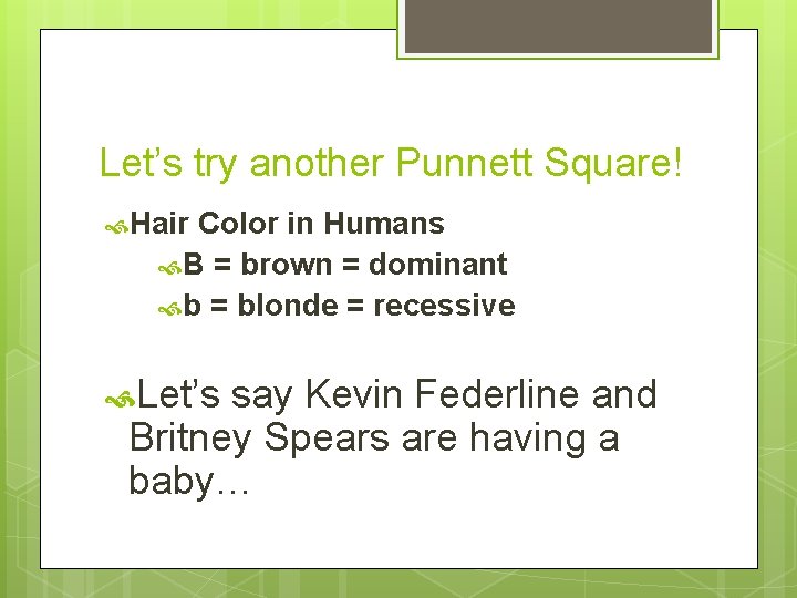 Let’s try another Punnett Square! Hair Color in Humans B = brown = dominant