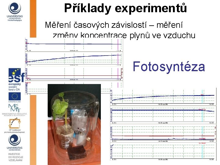 Příklady experimentů Měření časových závislostí – měření změny koncentrace plynů ve vzduchu Fotosyntéza 