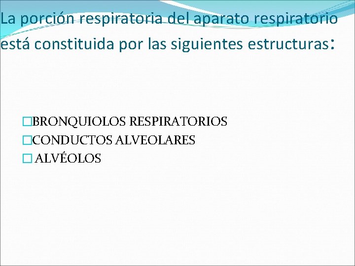 La porción respiratoria del aparato respiratorio está constituida por las siguientes estructuras: �BRONQUIOLOS RESPIRATORIOS La porción respiratoria del aparato respiratorio está constituida por las siguientes estructuras: �BRONQUIOLOS RESPIRATORIOS
