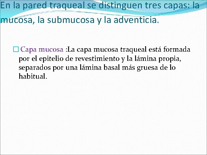 En la pared traqueal se distinguen tres capas: la mucosa, la submucosa y la En la pared traqueal se distinguen tres capas: la mucosa, la submucosa y la
