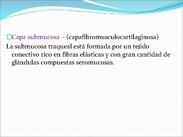�Capa submucosa – (capafibromusculocartilaginosa) La submucosa traqueal está formada por un tejido conectivo rico