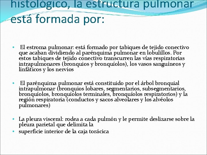 histológico, la estructura pulmonar está formada por: • El estroma pulmonar: está formado por histológico, la estructura pulmonar está formada por: • El estroma pulmonar: está formado por