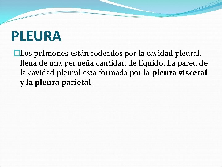 PLEURA �Los pulmones están rodeados por la cavidad pleural, llena de una pequeña cantidad