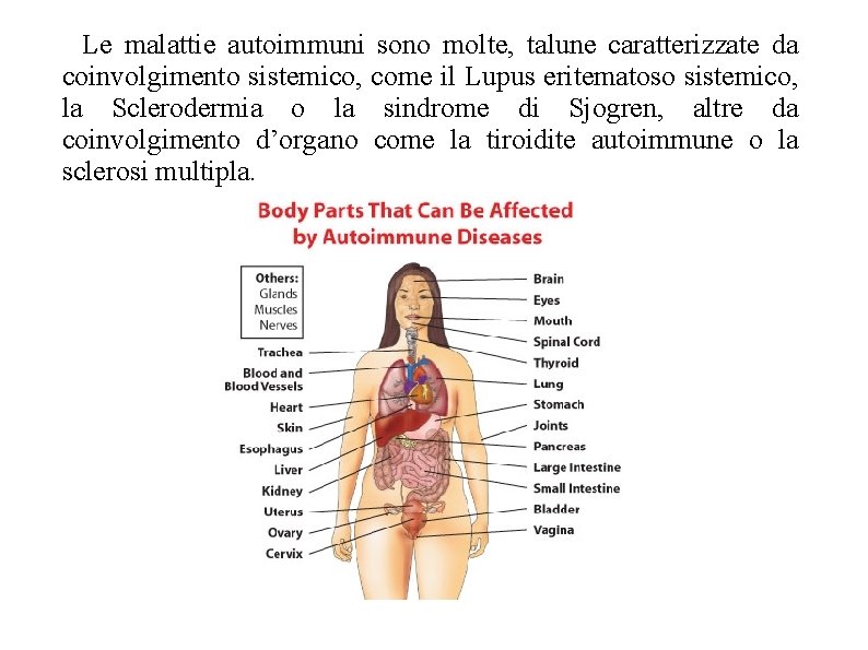 Le malattie autoimmuni sono molte, talune caratterizzate da coinvolgimento sistemico, come il Lupus Le malattie autoimmuni sono molte, talune caratterizzate da coinvolgimento sistemico, come il Lupus