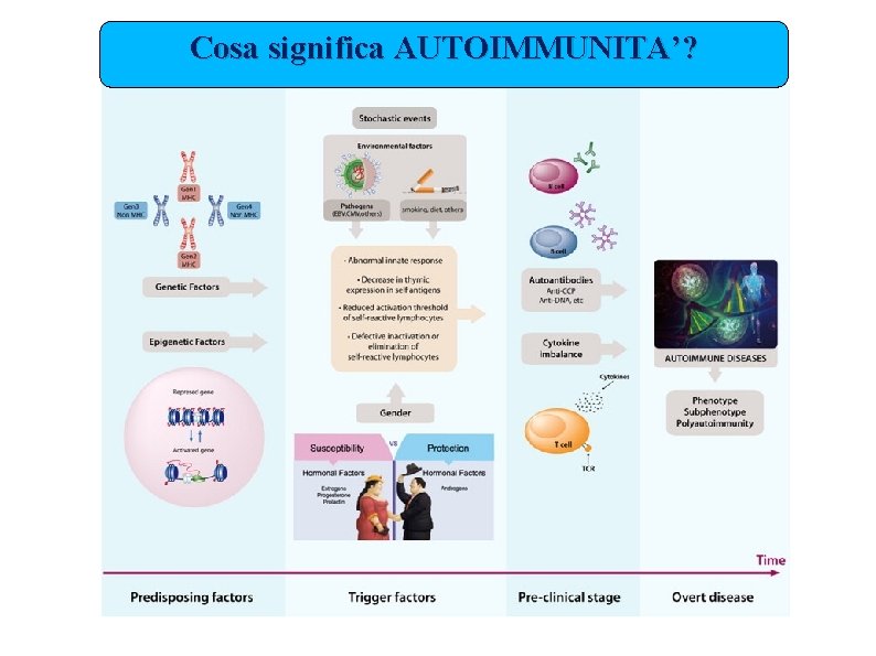 Cosa significa AUTOIMMUNITA’? Cosa significa AUTOIMMUNITA’?
