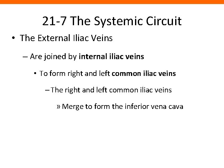 21 -7 The Systemic Circuit • The External Iliac Veins – Are joined by