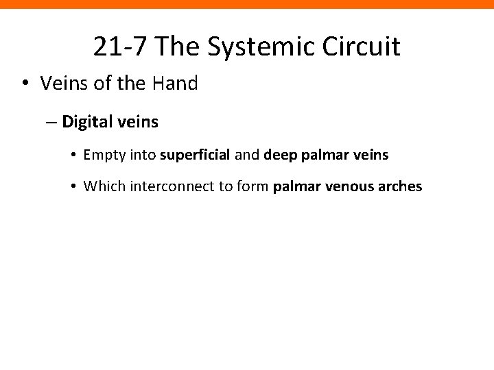 21 -7 The Systemic Circuit • Veins of the Hand – Digital veins •