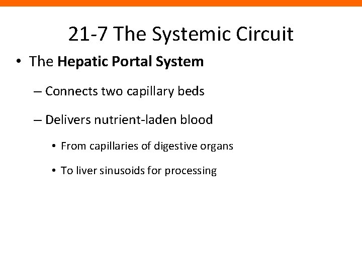 21 -7 The Systemic Circuit • The Hepatic Portal System – Connects two capillary