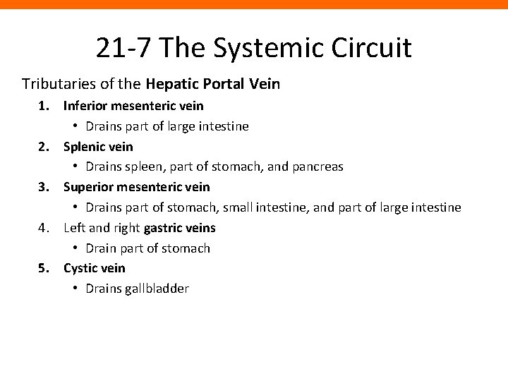 21 -7 The Systemic Circuit Tributaries of the Hepatic Portal Vein 1. Inferior mesenteric
