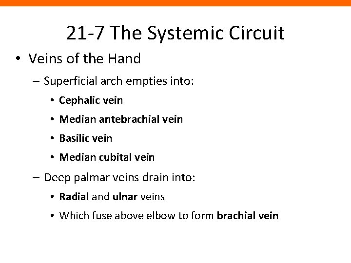 21 -7 The Systemic Circuit • Veins of the Hand – Superficial arch empties