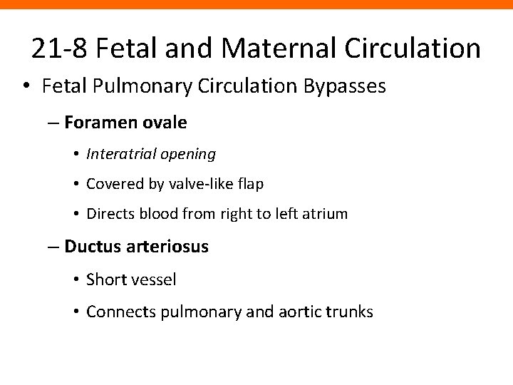 21 -8 Fetal and Maternal Circulation • Fetal Pulmonary Circulation Bypasses – Foramen ovale