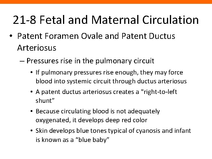 21 -8 Fetal and Maternal Circulation • Patent Foramen Ovale and Patent Ductus Arteriosus 21 -8 Fetal and Maternal Circulation • Patent Foramen Ovale and Patent Ductus Arteriosus